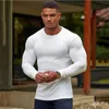 Printemps Automne Mode Pulls De Sport Hommes Pulls À Manches Longues Homme O-cou Slim Fit Pull Gym Fitness Haut Tricoté Hommes