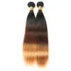 Three Tone Hair Bundles Ombre Brazilian Straight 1B/4/30 Colored Human Hair Weave Extensions for Women