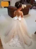 Cute Flower Girls Dress Sheer Neck Long Sleeve Ball Gown Lace Appliques Children Birthday Party Dresses