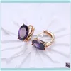 Hoop Jewelryhoop Hie Purple Österrike Big Oval Crystal Earring Blue Cubic Zircon Statement örhängen för kvinnors engagemang Fashion Jewelry1 Dr