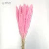 Pensatore di erba di pampa Colorato naturale rosa chiaro Matrimonio Pampa Fiori Regalo di San Valentino Mazzi di fiori di canna essiccati naturali Whi7514815