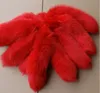 Chain Backpack Acessórios Anel Mulheres Real Fox Tail Pele Chaveiro Chaveiro Fluffy Encantos Rosa Vermelho A90