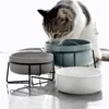 Keramische kattenhond Dubbele komschotel met LRON standgerechten Geen spill metalen w0yc kommen feeders