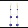 Dangle Chandelier Bijoux Drop Livraison 2021 Stone Bay S925 Sier Lapis Lazuli Long personnalisé plaqué or simple boucles d'oreilles de mode Ztlka