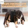 dog anxiety vest 210401