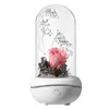 Eternal Rose Aromatherapy Diffuser Essential Oil Aroma Luchtbevochtigers 7 Kleur LED Nachtverlichting Kantoor Home Auto Decoratie Lamp Gift 2277 Y2