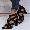 Jurk schoenen vrouwen pompen sandalen zomer open teen hoge hakken lage blok hak gladiator rits dik met wiggenmuil 220303