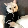 Весна / Летний тонкий кот и собака одежда милая домашняя жизнь поставляет пижаму для тедди Шнауцера маленькая собака