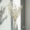 장식 꽃 화환 50g 말린 영원히 보존 된 Ruscus DIY 꽃 장식 드라이 Gypsophile 꽃 꽃다발 홈 웨딩 장식