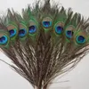 diy peacock wedding