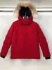 women and men Wyndham down parkas Real coyote fur trim hoody 80% down fill Rib sleeve Ykk zipper keep warm outdoor jackets