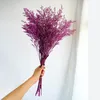 30G Lover Grass Natural Fresh Torked Bevarad Dancing Flowersreal Forever Flower Branch For Home Decor Bouquet Decorative Flowers4799710