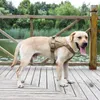 Breathable Pet Harnesses Chest Strap Large Medium Sized Dog Vest Style Chest Harness Pets Supplies Four Colors