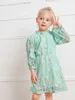 Toddler Girls Ruffle Neck Flounce Sleeve Lace Dress SHE