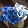 calla lily bleu