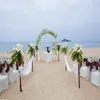 White Wedding Decoration Metal Arch Garden Iron Flower Stand Grape Vine Climbing Frame Loofah Rack 240*38*140cm For Party Supplies