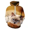 Men039s Sudaderas con capucha Sudaderas Lindo Gato Niño Niña Al aire libre Impresión 3D Sudadera con capucha Suéter Estampado de mascotas Moda Deportes Jersey Otoño And7905228