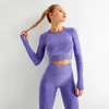 Costume de yoga sans couture Vêtements d'entraînement Gym pour femmes Leggings respirants Sportwear Femme Set Sport Fitness Top 210802