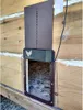 Cat Carrierscrates har automatiskt kyckling Coop Door Light Sensor magnetiska hushåll PET3568384276A