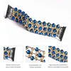 Blue Crystal Strap voor Apple Horloge Armband 38mm 40mm 42mm 44mm Kralen Iwatch SE 6 5 4 3 Band met Metalen Ketting Dames Meisje Elastic