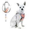 Forniture per pettorine per cani, guinzaglio e collare, accessori per cintura di sicurezza, cucciolo 211006