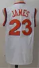 Vintage LeBron 23 JDMES Jerseys Men St. Wincent Mary High School Irish, Blue White Green Brown Red Blacked