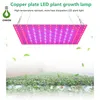 Rood Blue Spectrum Plant Grow Light 169/81 LED's 2835 Lampen Kralen Planten Groeilamp LED-verlichting met roestvrijstalen haak