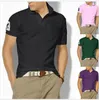 Yüksek kaliteli Erkekler Katı T-Shirt küçük at timsah Nakış Polo GÖMLEK Yaz Rahat İş homme tees Erkek polos Gömlek erkek T-Shirt c8