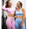 Seamless Yoga Set Women Fitness Sport Suits GYM Sportswear Shirts High Waist Running Girl Leggings Workout Pants Female Bras 210802