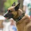 Spersonalizowany wojskowy Tactical Dog Collar Niestandardowy Nylon Bezpłatny wygrawerowany regulowany szkolenie dla średnich Duży 211022