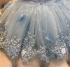 Light Sky Blue Pearls Девушки Пагентные Платья Платья Аппликация Бисером Девушка Цветок Платье Для Свадьбы Детская Длинная Принцесса День Рождения Бальные платья