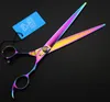 Joewell 8,0 дюйма Rainbow Rainbow Ruash / Thinning Scissors Kit с кожаным чехол Профессиональный набор домашних животных