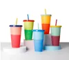 710 ml Temperaturfarbe wechseln Tasse Plastik Tumbler kalte Getränkeflasche mit Stroh und Deckel Magic Cup Sommergetränksware