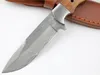 Outdoor Survival Straight Hunting Knife Damascus Steel Drop Point Blade Full Tang Shadow Wood Handle Fixed Blades Knives With Leather Sheath