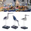 Drewniane marynarki wojennej Seabirds Mediterranean Styl Rzeźba Dekoracji Home Craft 210804