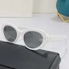 Womens sunglasses 40193 Cat Eye fashion shopping oval sun glasses women casual all-match simple everyday style UV400 protection high quality with box