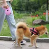 Hondenriem 5m automatische intrekbare huisdier leiband uitstrekkende puppy touw tape wandelen leidt running riemen roulette voor honden katten 210729