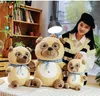 25cmの犬のぬいぐるみおもちゃかわいいぬいぐるみアニマル犬人形ホームベッドルーム装飾ギフト