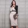 Office Lady V-Neck long Sleeve Contrast color Pencil Dress Women Autumn Elegant Sexy OL Bodycon Sheath Dress with Sashes 210514