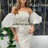 Vestidos formale فساتين السهرة المرأة حزب الدانتيل الأفريقي حورية البحر قصيرة حفلة موسيقية اللباس العربية كوكتيل