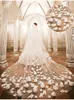 Düğün Peçe 1 Tier Uzun Katedrali 3D Çiçek Aplikler Tarak ile Gelin için Zarif Zarif Gelin Peçe