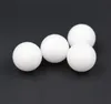 2021 25mm DELRIN (POM) / CELCON Plastic Effen ballen voor klepcomponenten, lagers, gas / watertoepassing