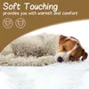 Long Plush Pet Coberturas Cão Cat Cama Tapetes Profundos Dormir Capas Finas Macias para Verão Cama de Inverno Use cobertores Gato Colchão 210915