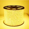 SMD 5050 AC220V LED-remsor Flexibelt ljus 60LED / m Vattentät LED-tejpbelysning med strömkontakt 2m / 3m / 4m / 5m d2.5