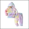 Zestawy odzieżowe Baby Kids Baby, Maternity Girls Ubrania Wiosna Jesień Moda Z Kapturem Barwiony Sweter Sportswear 2 Sztuk Dla 0 1 2 3 4 5 lat