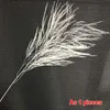 Decorative Flowers & Wreaths 10PCS About 40CM Real Dried Natural Preserved Feather Grass Dry Arundinacea Eternelle Home Decor Wedd1932