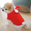Królik Velveteen Dog Odzież Haft Haft Dogs Clothe Hoodie Zima Wiosna Jesień Płaszcz Zagęszczone Swetry Styl Ramię Ciepłe Cosplay Pokaż Pitbull S