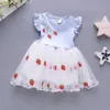赤ちゃんの女の子の服のためのカジュアルな夏のドレスかわいいイチゴの刺繍王女の女の子のドレス幼児子供の誕生日パーティーVestidos Q0716