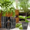 Planters Pots 45 штук Гидропонные чистые горшки, пластиковый горшок для садового балкона Гидропоника и культура Соиллессы (8 см)