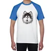смешные футболки для собак
